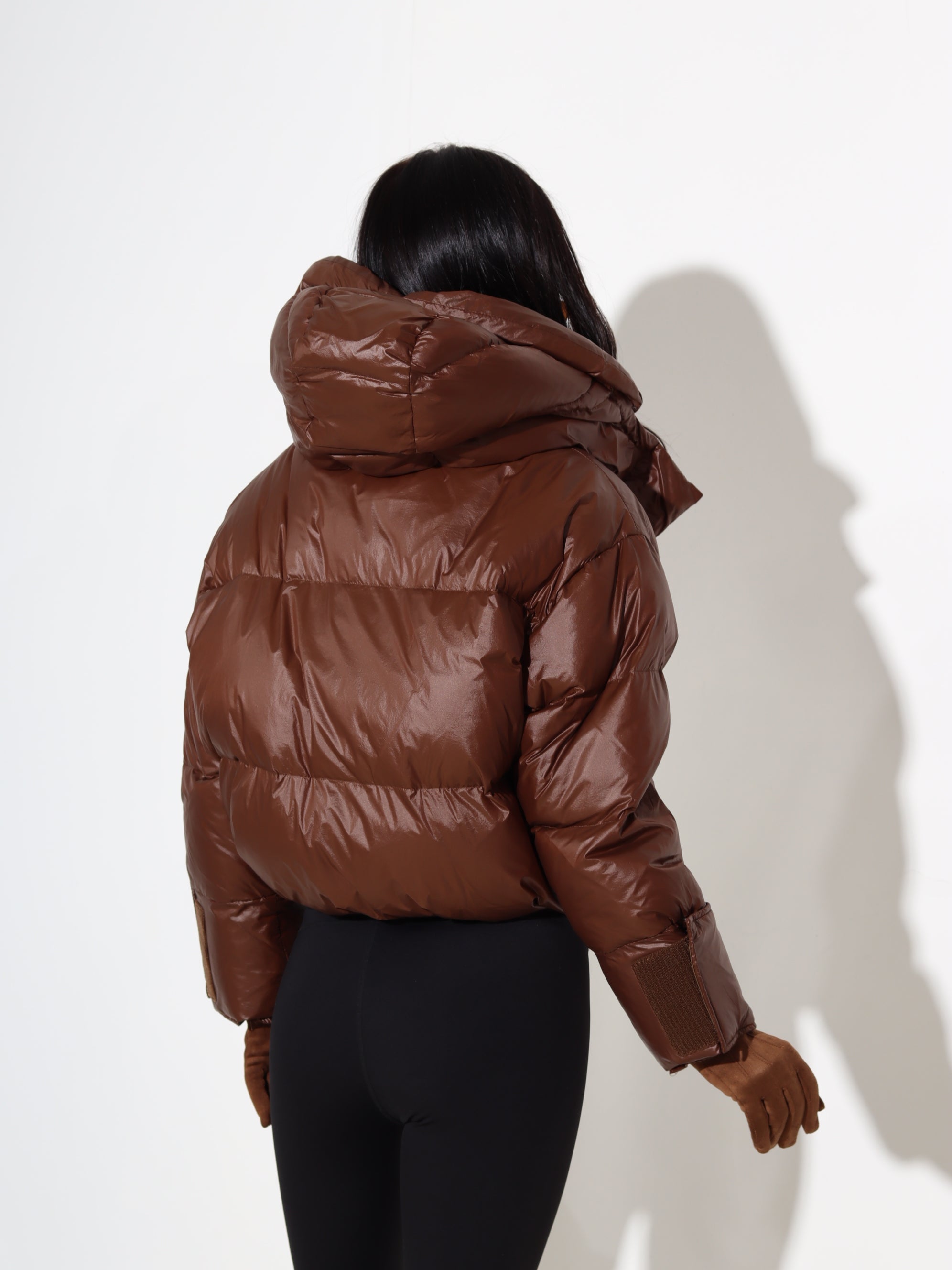 Brūna, saīsināta, dūnu virsjaka - 17872