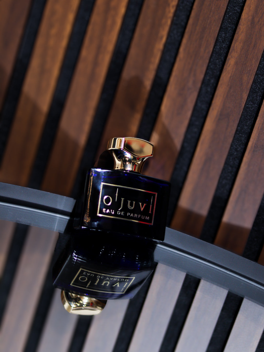 O'juvi - N-580 (Ursa)